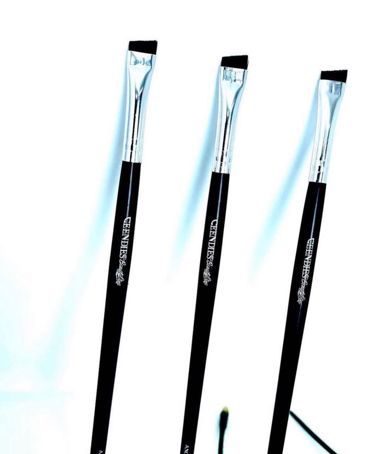 Ceendies Angled brush