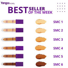YANGA beauty concealer ( SMC 3 )